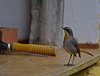 Afrika_2012 (36)