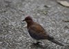 Afrika_2012 (148)