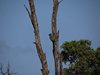 Afrika_2012 (142)