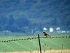 Afrika_2012 (49)