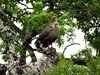 Afrika_2012 (78)