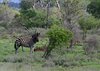 Afrika_2012 (174)