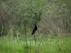 Afrika_2012 (52)