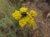 Afrika_2012 (21)