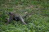 Afrika_2012 (156)