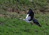 Afrika_2012 (39)