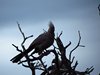 Afrika_2012 (130)