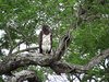 Afrika_2012 (162)