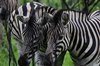 Afrika_2012 (82)