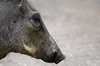 Afrika_2012 (152)