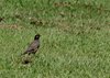Afrika_2012 (42)