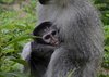 Afrika_2012 (154)