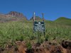 Afrika_2012 (55)