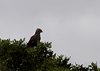 Afrika_2012 (157)
