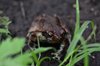 Afrika_2012 (121)
