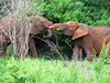 Afrika_2012 (90)