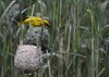 Afrika_2012 (61)