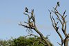 Afrika_2012 (140)