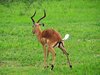 Afrika_2012 (145)