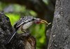 Afrika_2012 (166)