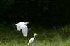 Afrika_2012 (45)