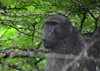 Afrika_2012 (95)