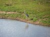 Afrika_2012 (177)