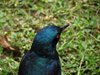 Afrika_2012 (151)