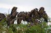 Afrika_2012 (182)