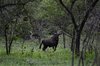 Afrika_2012 (120)