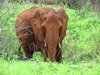Afrika_2012 (91)