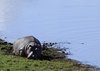 Afrika_2012 (176)
