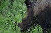Afrika_2012 (85)