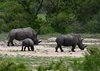 Afrika_2012 (143)