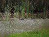 Afrika_2012 (38)