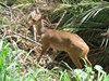 Afrika_2012 (163)
