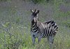Afrika_2012 (175)