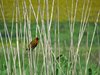 Afrika_2012 (51)