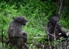 Afrika_2012 (94)
