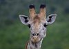 Afrika_2012 (128)