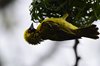 Afrika_2012 (67)