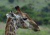 Afrika_2012 (77)