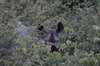 Afrika_2012 (132)