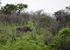 Afrika_2012 (81)