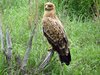 Afrika_2012 (167)