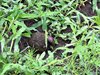 Afrika_2012 (123)