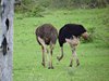 Afrika_2012 (179)