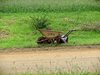 Afrika_2012 (114)