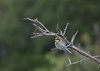 Afrika_2012 (169)