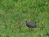 Afrika_2012 (40)